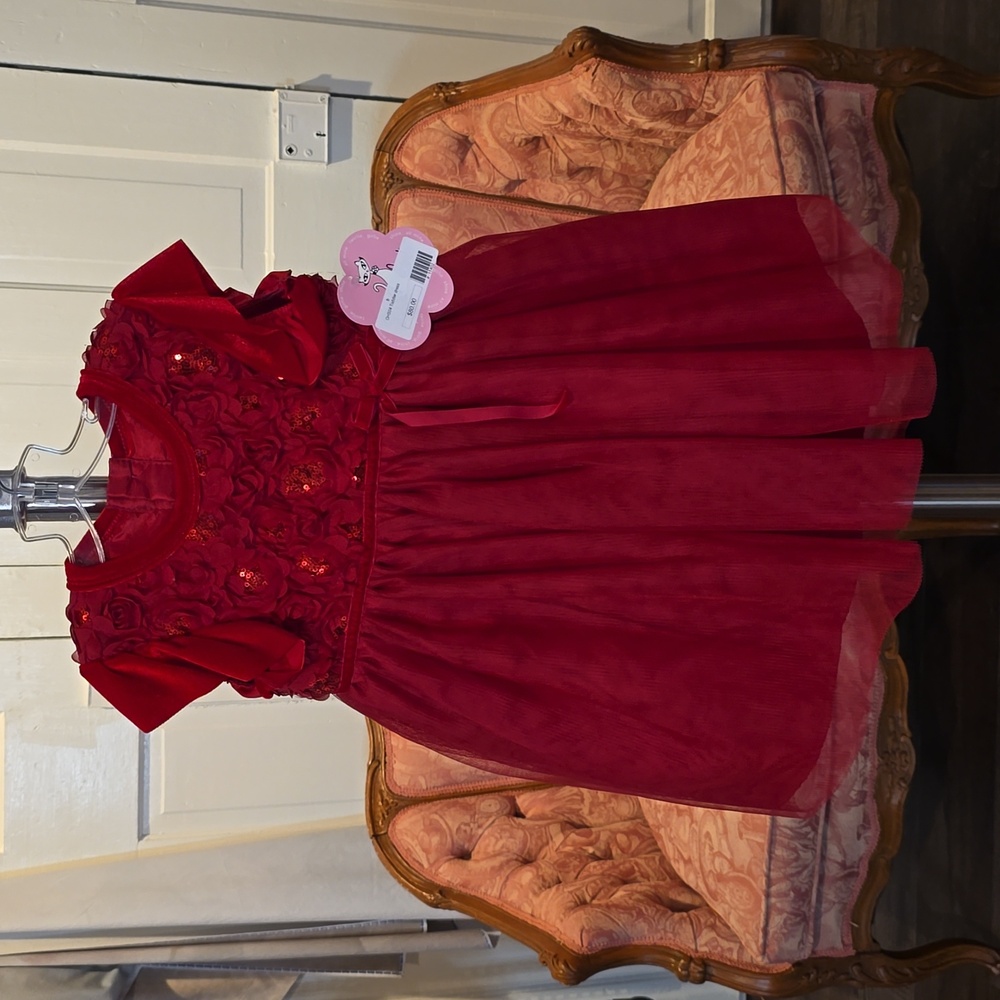 Charming Scarlet Kids Dress with Floral Accents, size 2T new with tags!